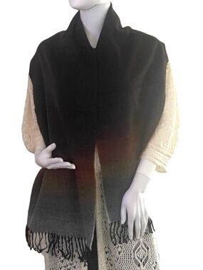 D&Y Softer than Cashmere  Brown Ombre Fall Rainbow Scarf